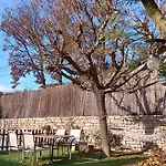 Casa de Campo Torre De L'olivera *