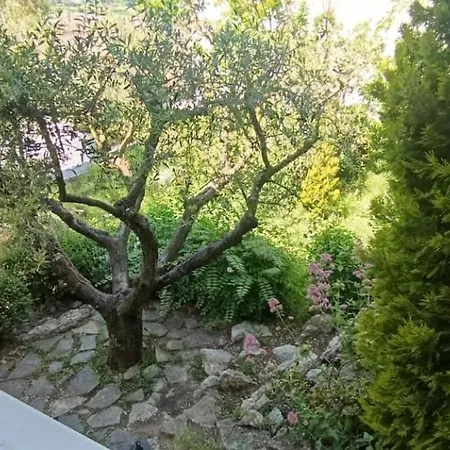Lantställe Torre De L'olivera Mediona